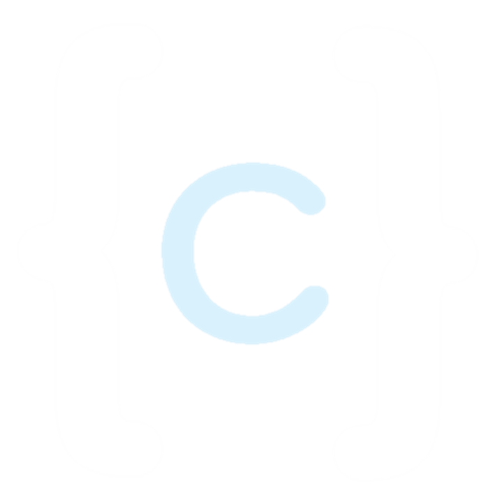 Logo ERP-CAMISOL